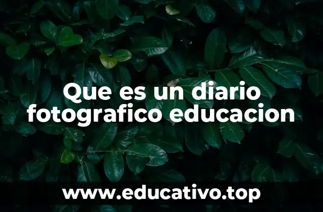 Que es un diario fotografico educacion