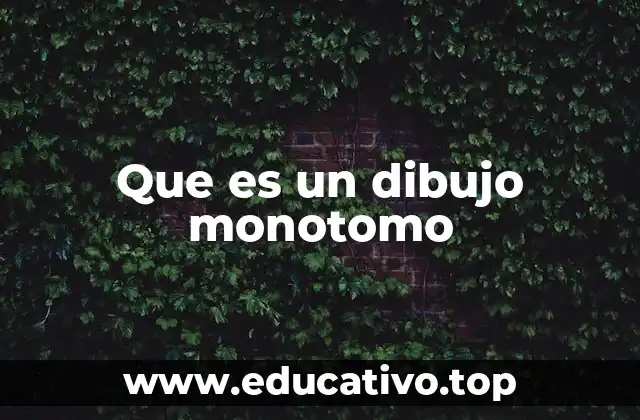 Que es un dibujo monotomo