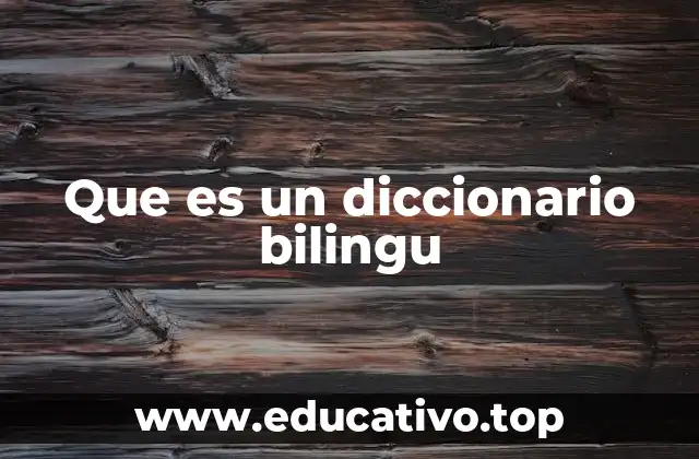 Que es un diccionario bilingu