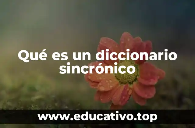 Qué es un diccionario sincrónico