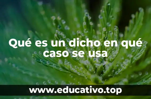 Qué es un dicho en qué caso se usa