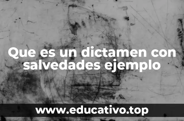 Que es un dictamen con salvedades ejemplo