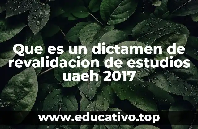 Que es un dictamen de revalidacion de estudios uaeh 2017