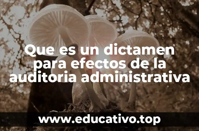 Que es un dictamen para efectos de la auditoria administrativa