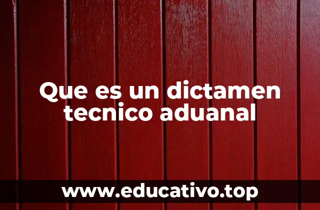 Que es un dictamen tecnico aduanal