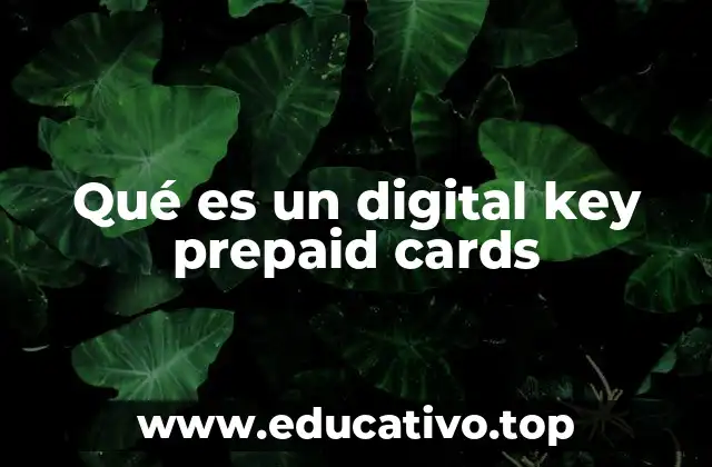 Qué es un digital key prepaid cards