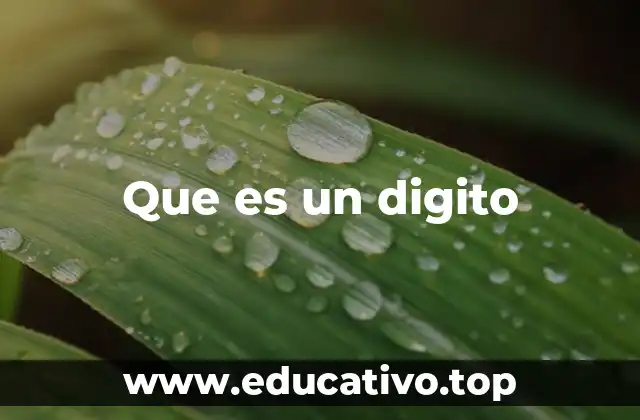 El papel de los dígitos en los sistemas numéricos