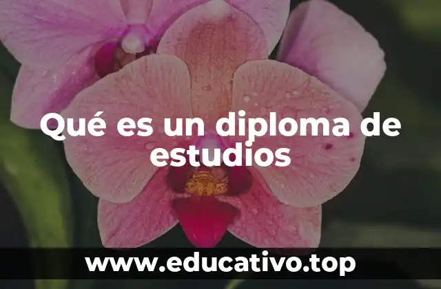 Qué es un diploma de estudios