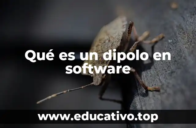 Qué es un dipolo en software