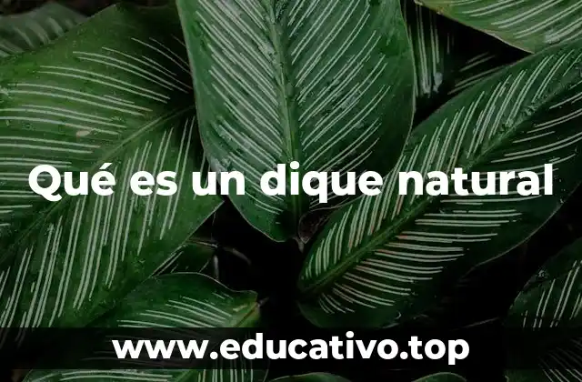Qué es un dique natural
