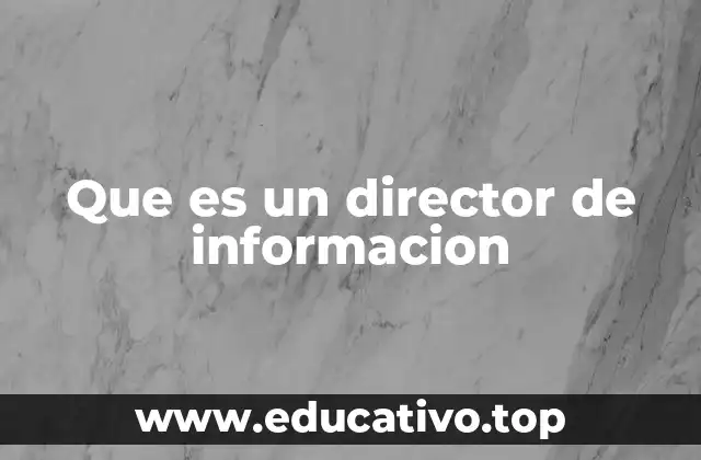 Que es un director de informacion