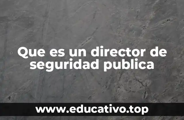 Que es un director de seguridad publica