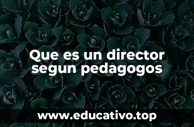Que es un director segun pedagogos