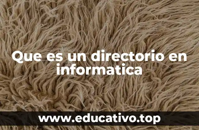 Que es un directorio en informatica