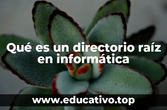 Qué es un directorio raíz en informática