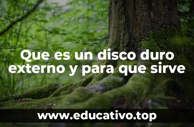 Que es un disco duro externo y para que sirve