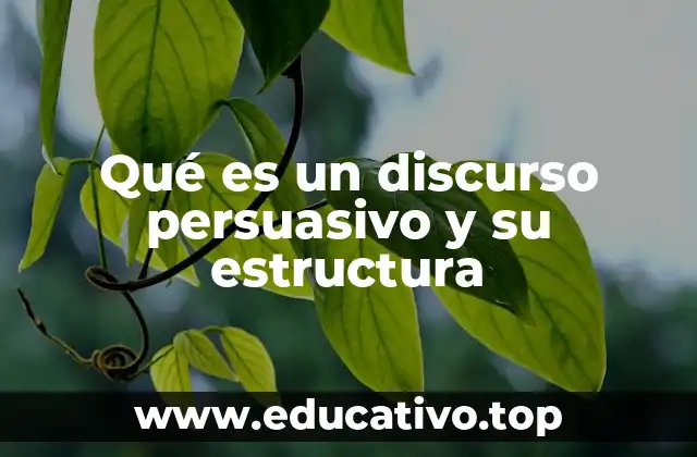 Qué es un discurso persuasivo y su estructura