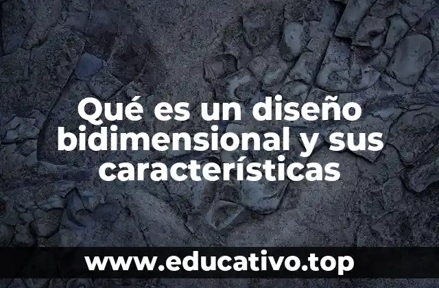 Qué es un diseño bidimensional y sus características