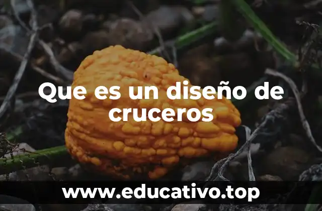 Que es un diseño de cruceros