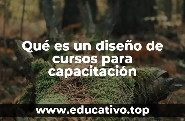 Qué es un diseño de cursos para capacitación