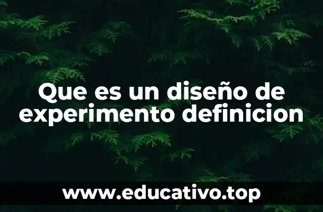 Que es un diseño de experimento definicion
