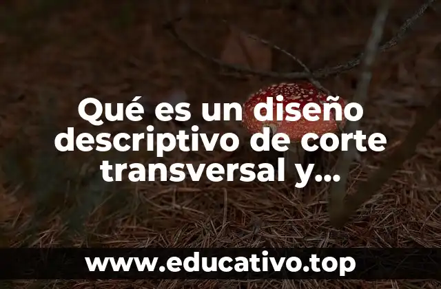 Qué es un diseño descriptivo de corte transversal y retrospectivo