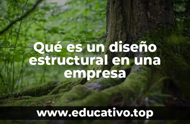 Qué es un diseño estructural en una empresa