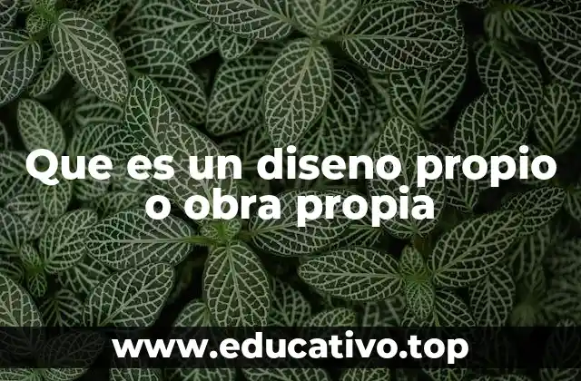 Que es un diseno propio o obra propia