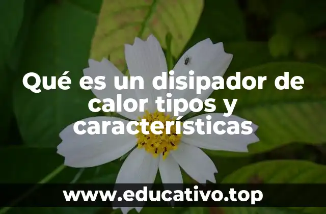 Qué es un disipador de calor tipos y características