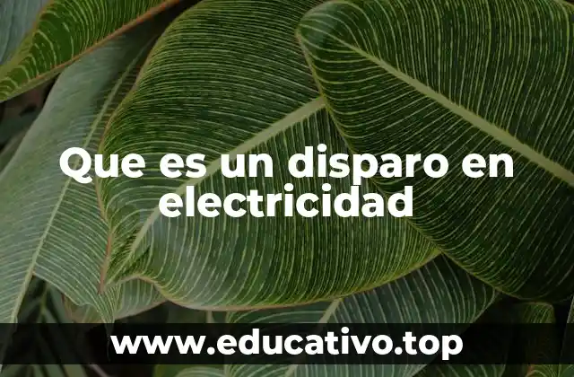 Que es un disparo en electricidad