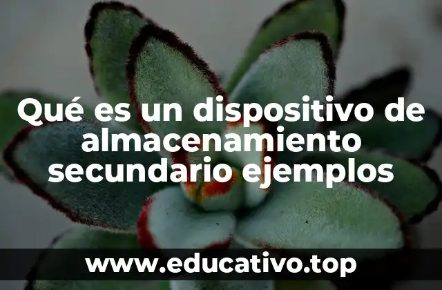 Qué es un dispositivo de almacenamiento secundario ejemplos
