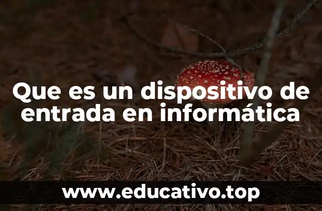 Tipos de dispositivos de entrada y su funcionamiento