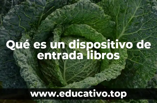 Qué es un dispositivo de entrada libros
