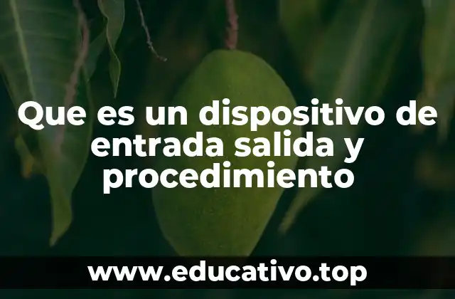 Que es un dispositivo de entrada salida y procedimiento