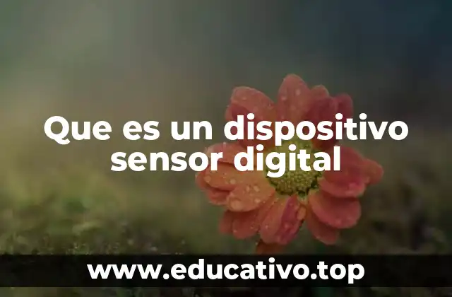 Que es un dispositivo sensor digital
