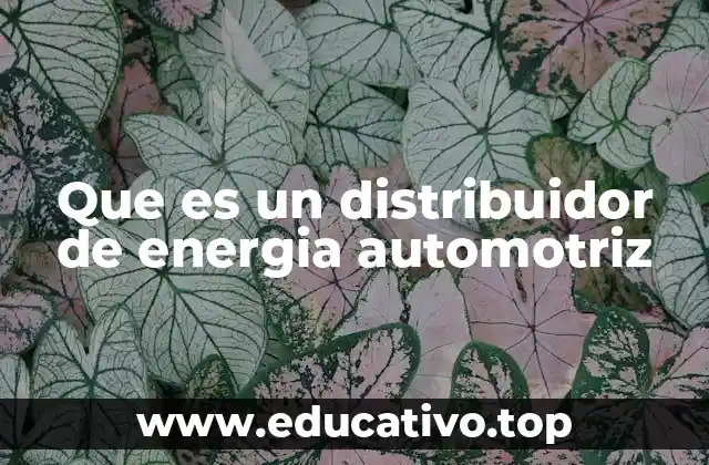 Que es un distribuidor de energia automotriz