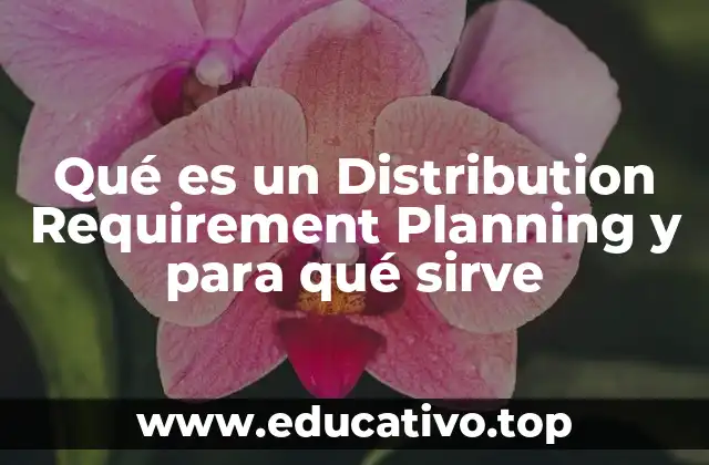 Qué es un Distribution Requirement Planning y para qué sirve