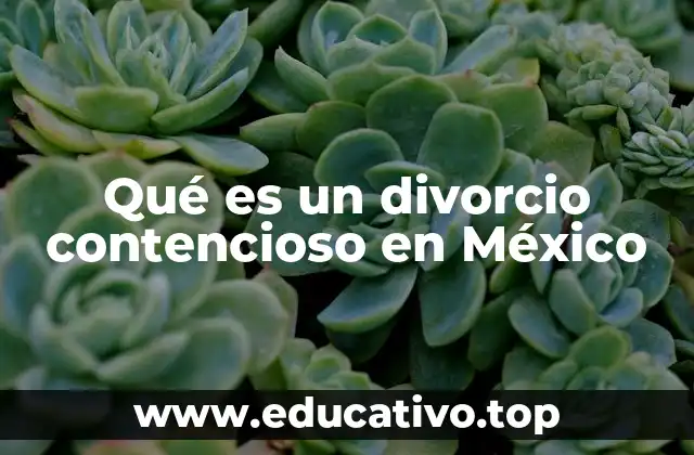 Qué es un divorcio contencioso en México