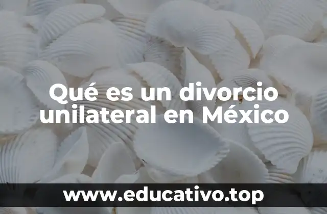 Cómo funciona el proceso de divorcio unilateral