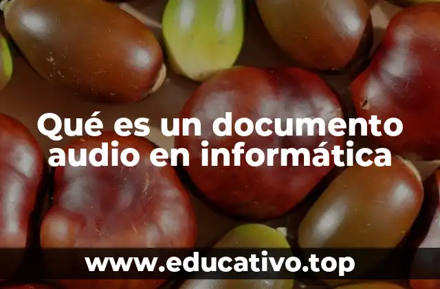Qué es un documento audio en informática