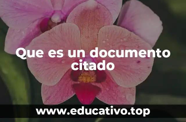 Que es un documento citado