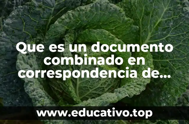 Que es un documento combinado en correspondencia de word