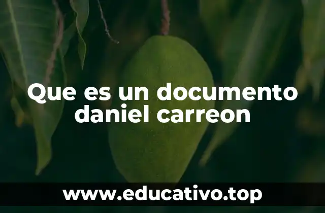 Que es un documento daniel carreon