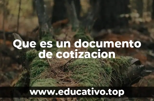 Que es un documento de cotizacion