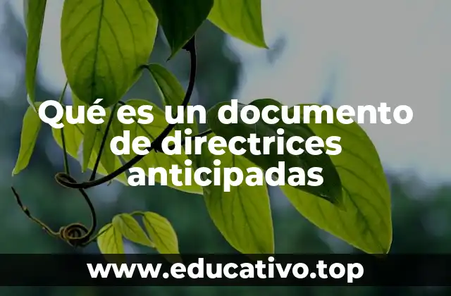 Qué es un documento de directrices anticipadas