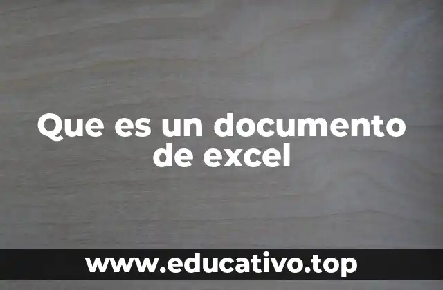 Que es un documento de excel