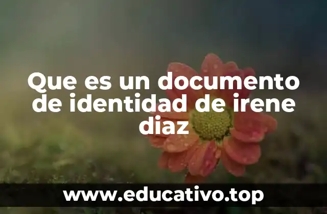 Que es un documento de identidad de irene diaz