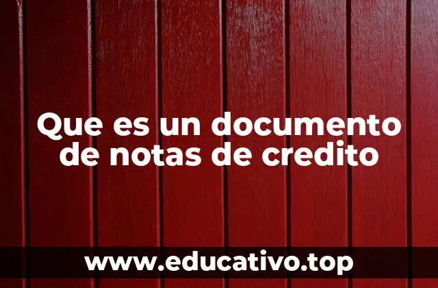 Que es un documento de notas de credito