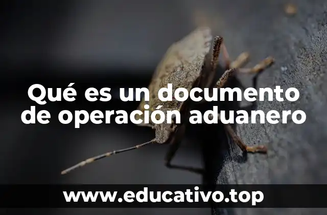 Qué es un documento de operación aduanero