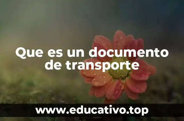 Que es un documento de transporte